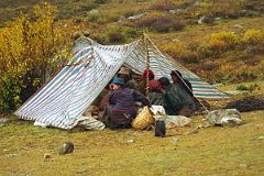 07 Yaks and Yak Herders Camp At Dhampu Tibet